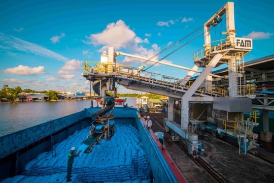 Trung Quốc hạn chế xuất khẩu ure, Việt Nam được "săn đón"