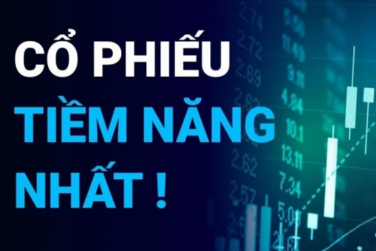 Cổ phiếu nào tiềm năng có thể sinh lời hàng chục % trong tháng 9?