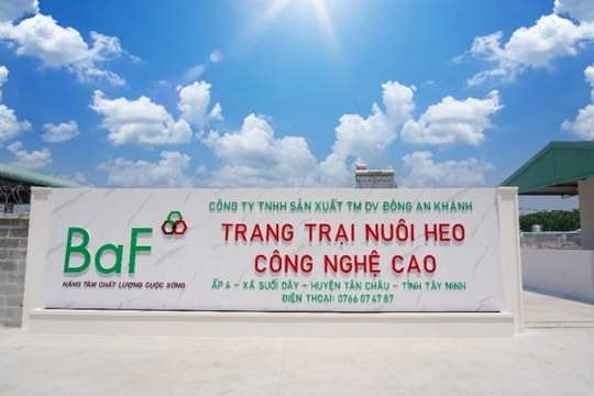 BAF góp thêm hơn 119 tỷ đồng vào 2 công ty con