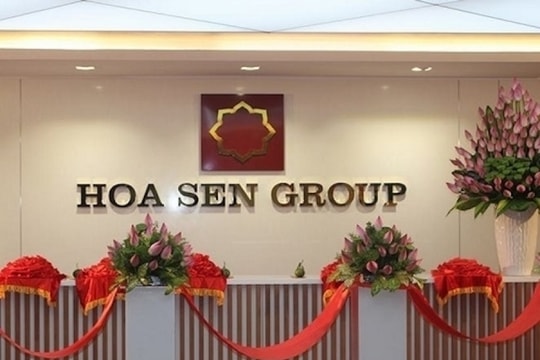 Cổ phiếu tăng mạnh, em rể của Chủ tịch HSG muốn thoái vốn tại công ty