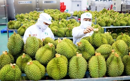 Xuất khẩu rau quả sang Trung Quốc tăng trưởng đột phá sau 8 tháng 2023