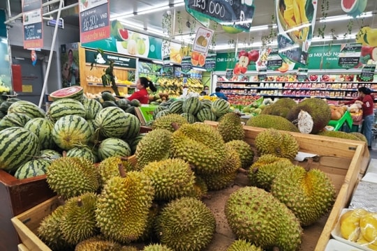 Tháng 8/2023, xuất khẩu rau quả sang Trung Quốc tăng gần gấp 3 lần cùng kỳ