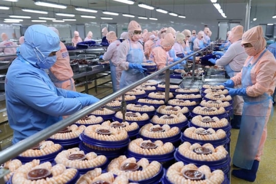 Ngành thủy sản có thể đạt kim ngạch xuất khẩu 10 tỷ USD trong năm nay