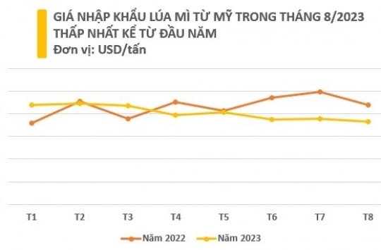 Nhập khẩu lúa mì từ Mỹ lập đỉnh trong tháng 8, tăng đột biến tới hơn 13.000%