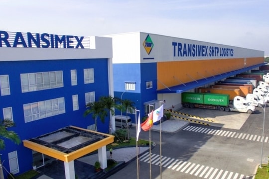 Transimex chuẩn bị phát hành hơn 36 triệu cổ phiếu trả cổ tức