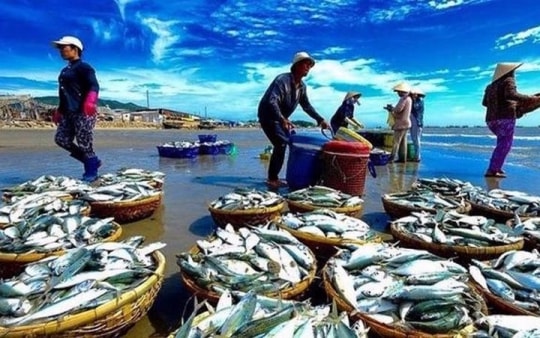 Nhóm cổ phiếu ngành thủy sản, dệt may ghi nhận tăng trưởng tích cực