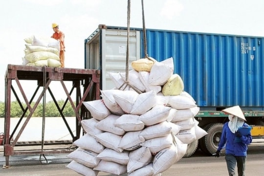 Giá gạo vẫn ở mức cao, thị trường cuối năm sẽ ngày càng khởi sắc?
