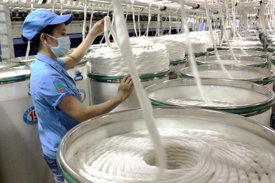 Tháng 8/2023, xuất khẩu xơ, sợi dệt các loại của Việt Nam đạt 174.205 tấn với hơn 427 triệu USD