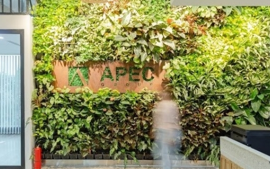 Chứng khoán APEC làm gì để cổ phiếu APS thoát nguy cơ hạn chế giao dịch?