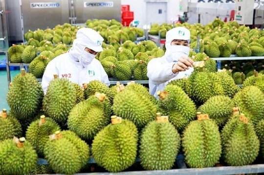 Xuất khẩu nông lâm thủy sản ước đạt hơn 38 tỷ USD sau 9 tháng