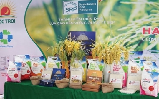 Tập đoàn Lộc Trời bị phạt hơn 1 tỷ đồng do vi phạm thuế