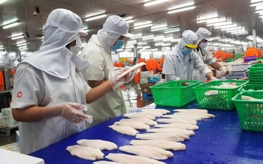 Ngành thủy sản nỗ lực tìm hướng đi bền vững