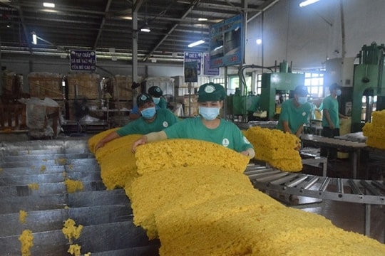 Việt Nam là nhà cung cấp cao su lớn thứ 2 của Trung Quốc, chỉ sau Thái Lan