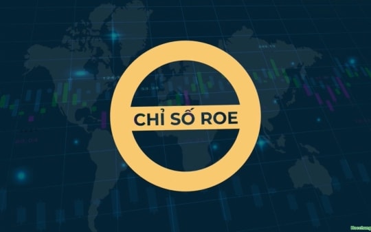Sử dụng chỉ số ROE để nhận biết “sức khỏe” thị trường