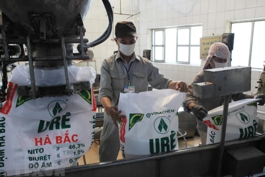 Đạm Hà Bắc (DHB) âm hơn 1.000 tỷ đồng vốn chủ sở hữu, thua lỗ liên tiếp trong 3 quý
