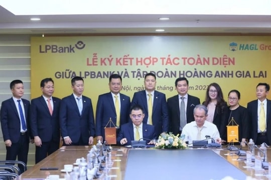Cổ phiếu HAG đảo chiều tăng mạnh sau cú “bắt tay” của HAGL và LPBank
