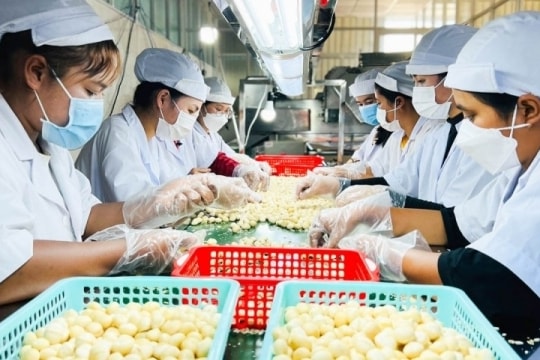 Doanh nghiệp Việt cần làm gì để có thể ứng phó với điều tra chống lẩn tránh thuế từ Hoa Kỳ?