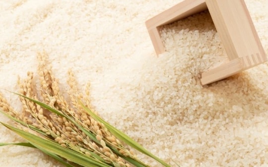 Xuất khẩu nông sản bắt kịp với tín hiệu thị trường, nỗ lực về đích