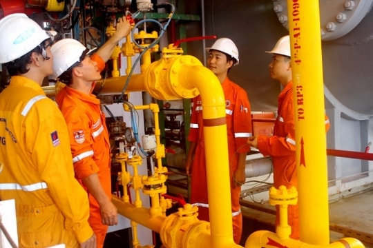 Nắm bắt cơ hội đầu tư GAS, FMC và ANV
