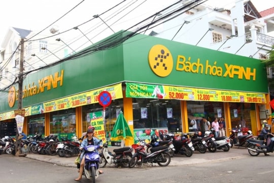Bách Hóa Xanh “thoát bóng” công ty mẹ sắp sửa có bước thay đổi mới