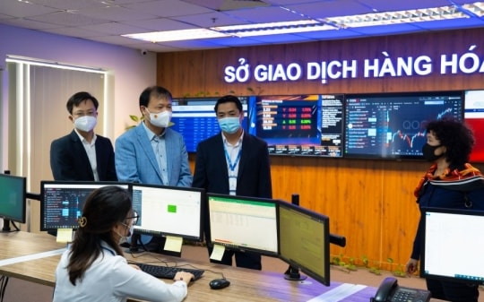Phân biệt giữa Sở Giao dịch Hàng hóa và Sàn thương mại điện tử