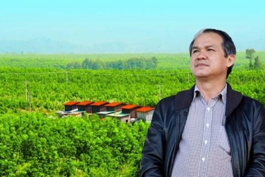 Động thái đầu cho mối quan hệ chiến lược: Chứng khoán LPBS mua 50 triệu cổ phiếu HAG