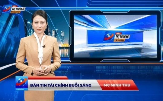 Bản tin Thị trường Tài chính tuần 48 từ 20/11 - 26/11/2023: Truy tố Chủ tịch tập đoàn Tân Hoàng Minh