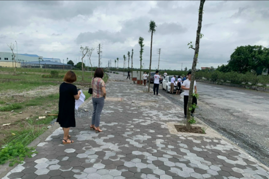Chuyên gia tiết lộ thời điểm phân khúc đất nền "đảo chiều"