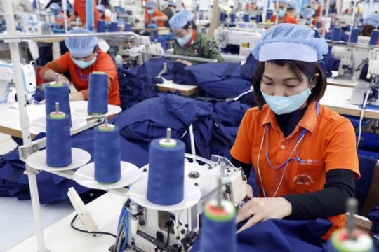 Việt Nam xuất siêu gần 1,5 tỷ USD sang thị trường Nhật Bản trong tháng 10/2023