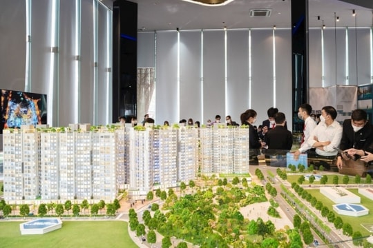Chuyên gia Nguyễn Văn Đính: Các nhà đầu tư bất động sản chuyên nghiệp, dài hạn sẽ có tầm nhìn xa, không kiếm lời trước mắt