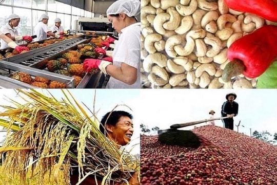11 tháng năm 2023, Việt Nam thu về 47,84 tỷ USD từ xuất khẩu nông, lâm, thủy sản