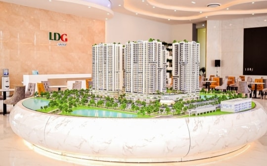 Chủ tịch vừa bị bắt cổ phiếu LDG dư bán sàn gần 39 triệu đơn vị