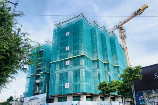 Nhà đầu tư nội tăng phi mã, Đất Xanh rục rịch chào bán 102 triệu cổ phiếu cho các cổ đông hiện hữu