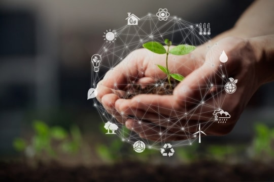 Bộ tiêu chuẩn ESG quan trọng như thế nào đối với doanh nghiệp?