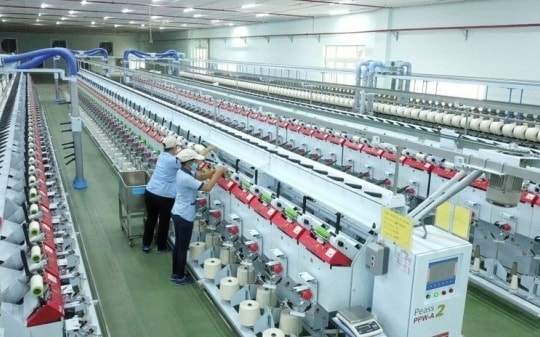 Đầu tư cổ phiếu hưởng cổ tức có phải kênh “ăn chắc mặc bền”?