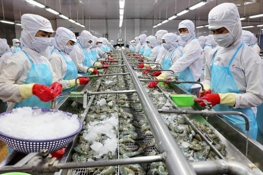 Triển vọng nào cho nhóm cổ phiếu thủy sản giai đoạn cuối năm?