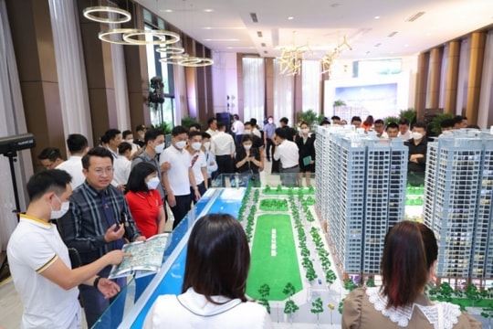 Phó Chủ tịch VARS: Thị trường bất động sản quý IV/2023 sẽ là bước đệm cho sự chuyển mình vào năm 2024