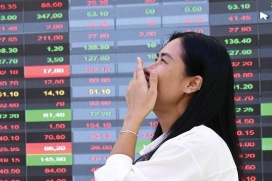 Chuyên gia MBS dự báo nhóm ngành sẽ “tỏa sáng” trong năm 2024