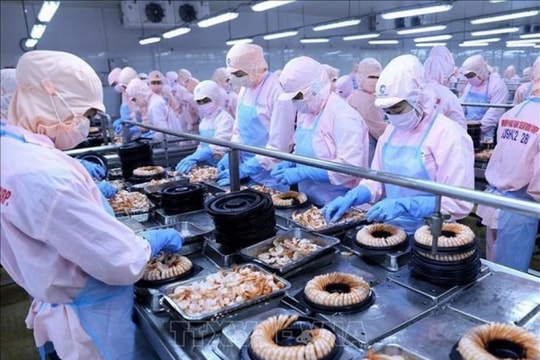 Lại thêm 3 “ái nữ” nhà “vua tôm” dự chi 400 tỷ đồng mua cổ phiếu công ty