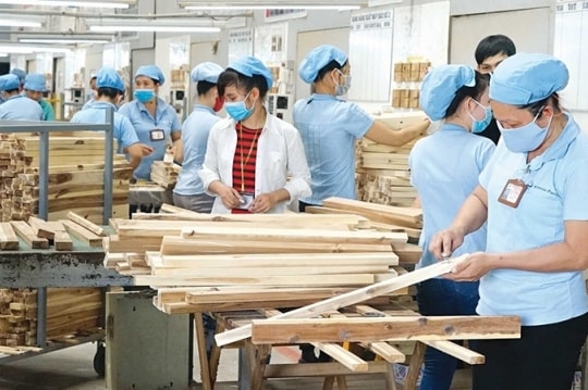 Đến giữa tháng 8, xuất khẩu gỗ và sản phẩm gỗ thu về 9,5 tỷ USD
