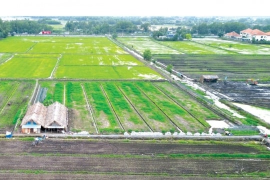 Bộ Tài chính đề xuất hai phương án giảm tiền thuê đất 2024, nhằm hỗ trợ doanh nghiệp vượt qua khó khăn