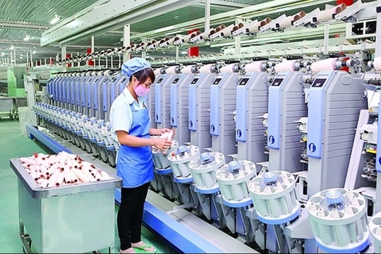 Vinatex (VGT) ghi nhận doanh thu 9 tháng đầu năm hơn 13.000 tỷ đồng