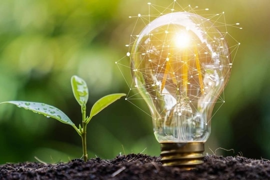 Startup năng lượng tái tạo: Thách thức hay cơ hội?