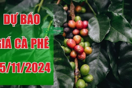 Dự báo giá cà phê ngày 25/11: Nguồn cung khan hiếm, giá liệu có tiếp tục tăng?