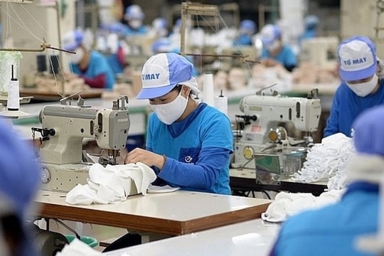 Ngành dệt may chuyển mình: STK, TNG, MSH và TCM đón đầu xu hướng