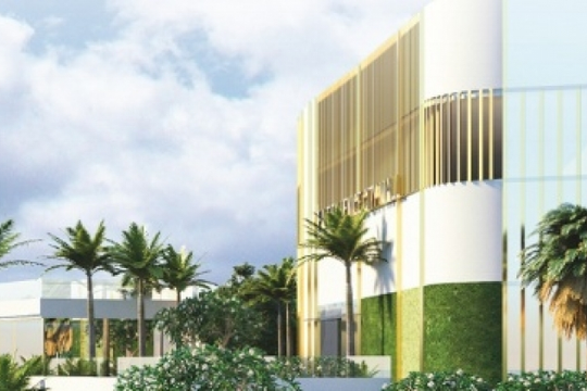 Thay đổi chiến lược, CNT giải thể và giảm vốn công ty con