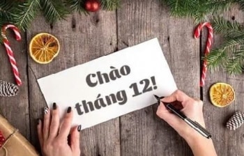 Ngày tốt tháng 12 năm 2024: Chọn ngày hoàng đạo để khởi đầu thuận lợi