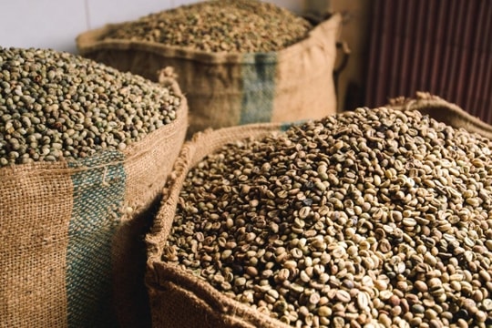 Giá cà phê tăng phi mã, chạm mốc cao nhất trong lịch sử 27 năm