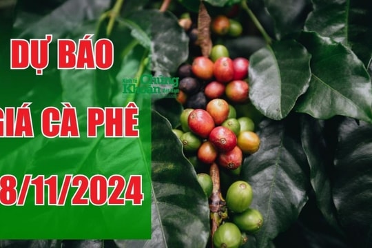 Dự báo giá cà phê ngày 28/11/2024: Có thể tạo cột mốc lớn trong lịch sử?