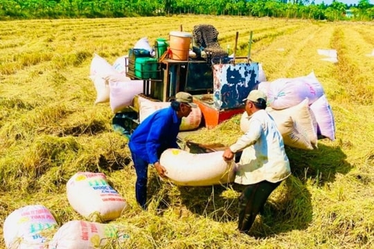 Kinh doanh gặp khó, Trung An (TAR) quyết định giải thể hai công ty con